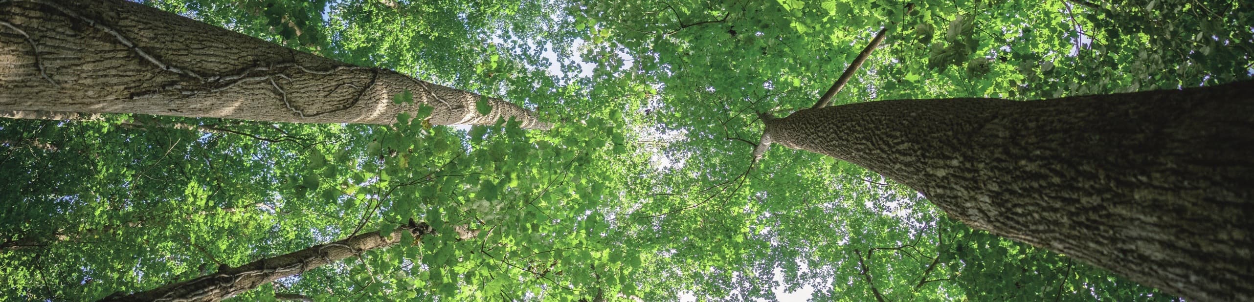 首页-欧陆注册-eHR治理系统